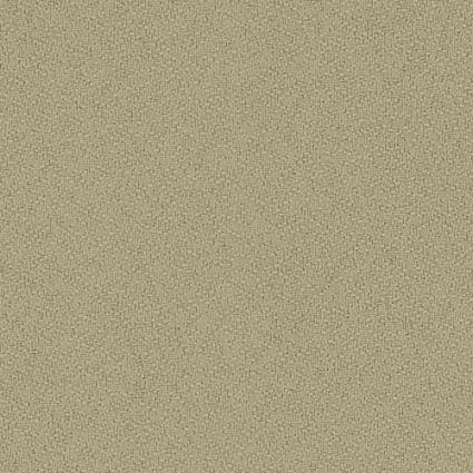 DN15 Camel