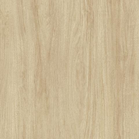 L546 Mojave
