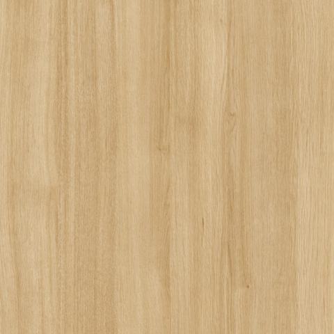 L581 Sheer Beauty