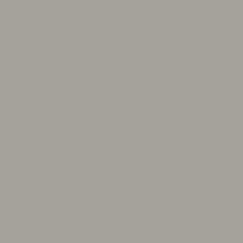 S551 Fog Grey
